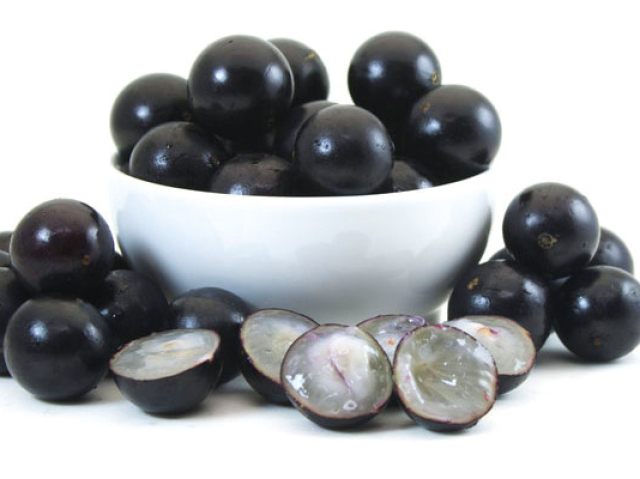 Jabuticaba