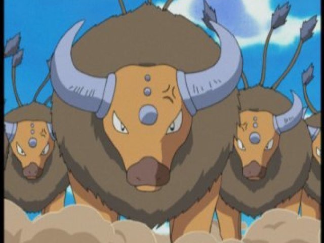 40 Tauros