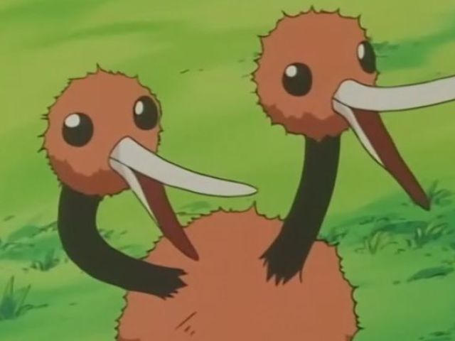 Doduo