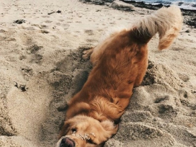 Sempre indo na praia!