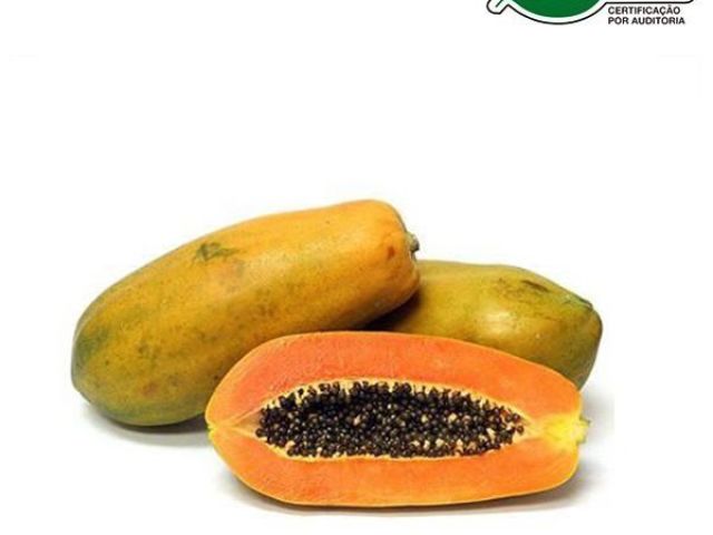 mamão