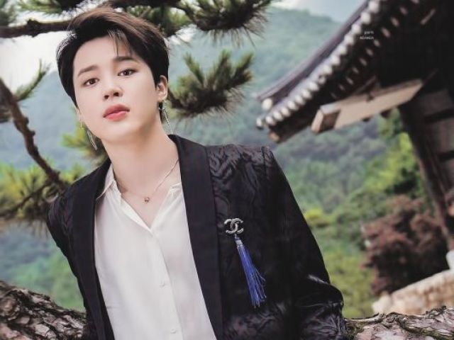 Você sabe tudo sobre Park Jimin?