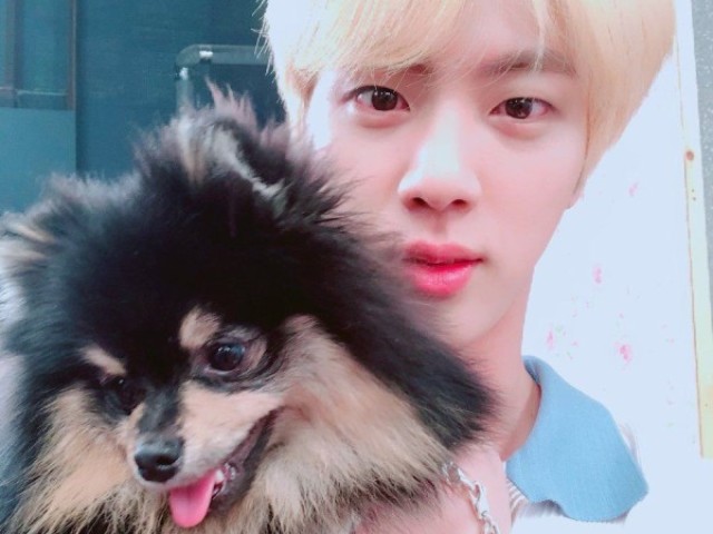 Jin