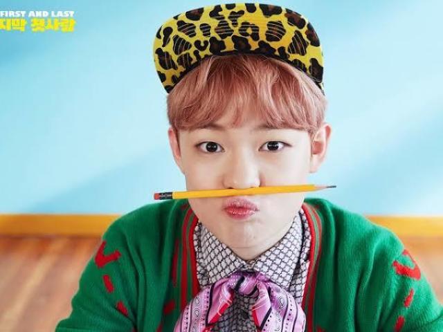 °•°•☆chenle☆•°•°