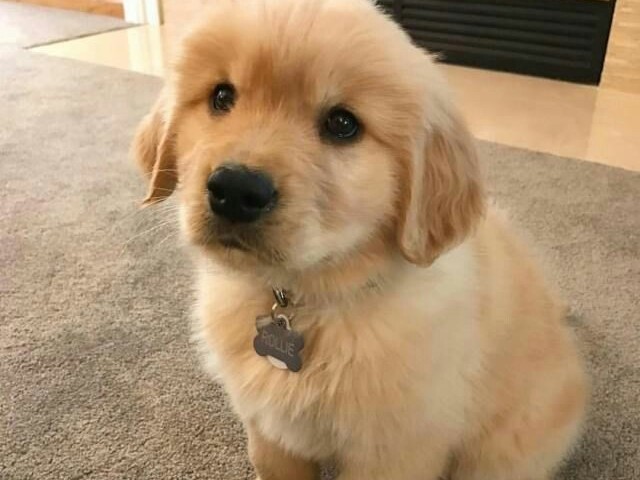 Golden.
