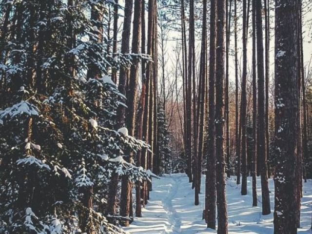 INVERNO