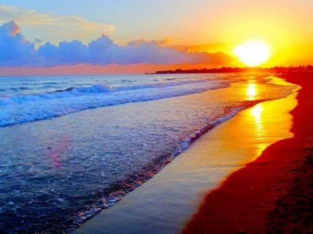 S/r-quer sair comigo s/n pra praia Bondi Beach?
S/n-claro ouvi muito dessa praia tchau s/r
S/r-tchau