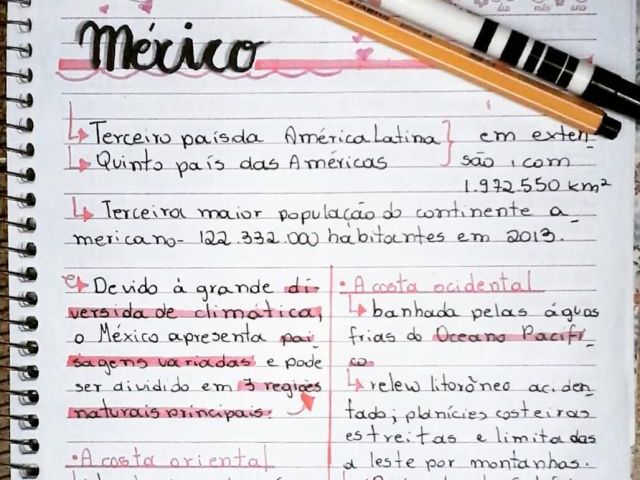 olha...eu faço na folha do caderno mesmo e não ligo, com tanto que me ajude pra prova tá ÓTIMO😜