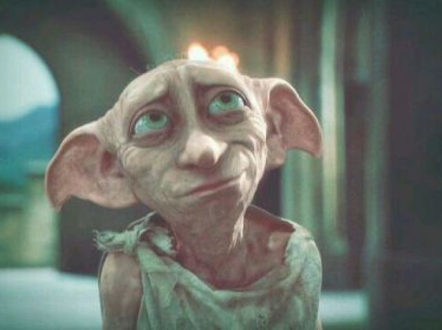Você tirou o Dobby