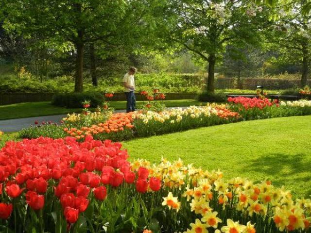 Um lugar calmo com flores e árvores, não é muito grande mas é muito aconchegante