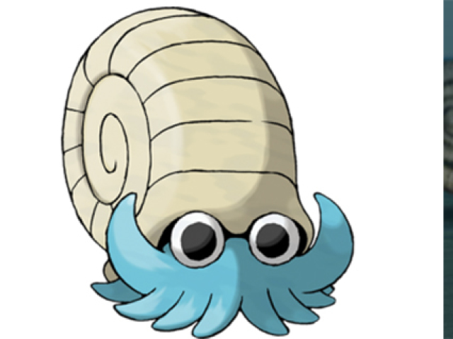 Omanyte