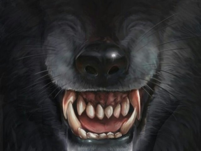 Lobisomem