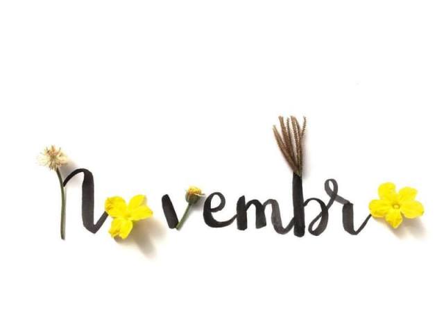 Novembro