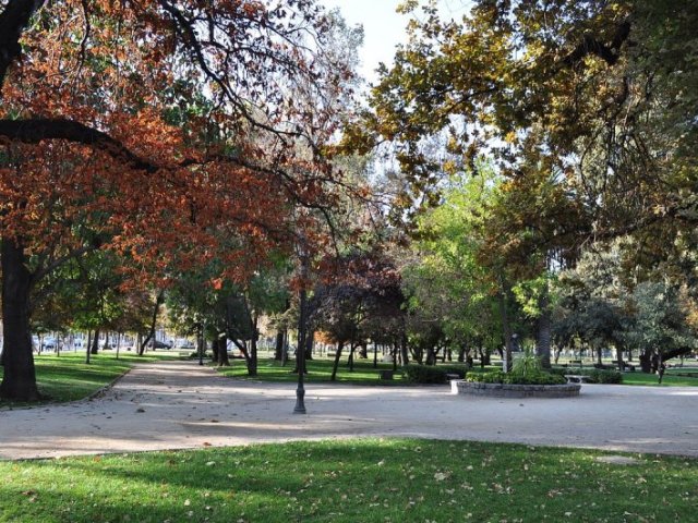 Parque.