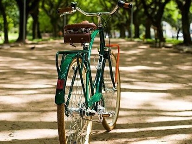 Bicicleta (Boy ecológico)