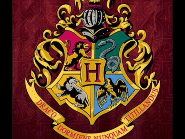 Você conhece mesmo Harry Potter?