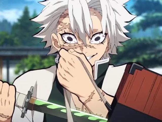 Shinazugawa Sanemi