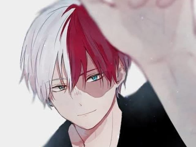 Shoto Todoroki