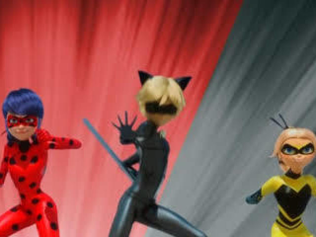 Cat noir