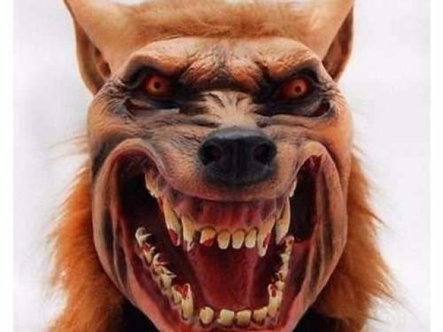 Lobisomem.
