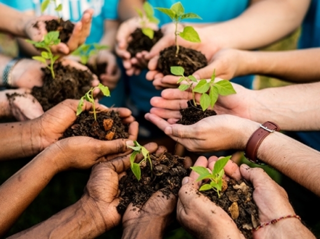 Você entende sobre o Meio Ambiente?