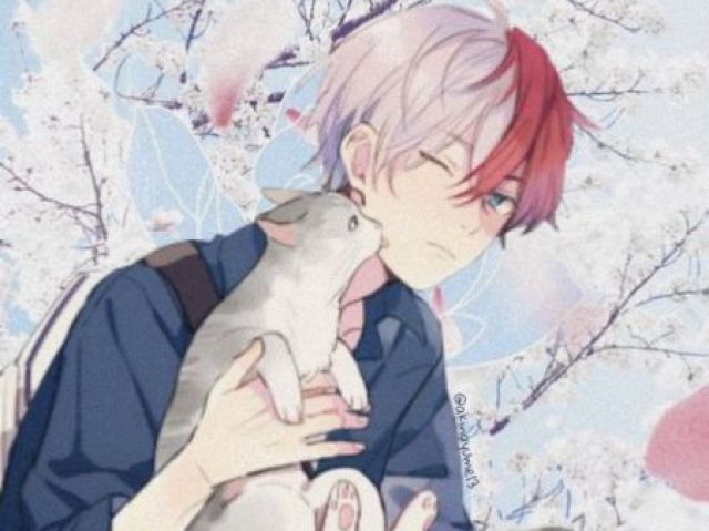 Shoto decide passar o resto de sua vida com gatos.