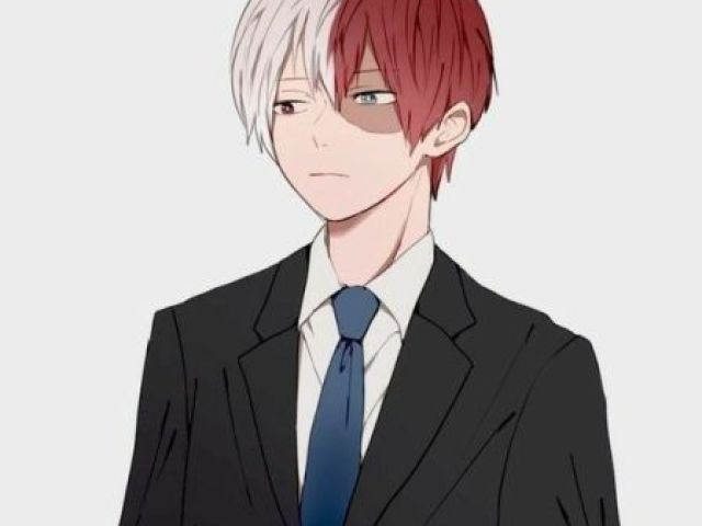 Você se torna parceiro do Herói Todoroki Shoto.