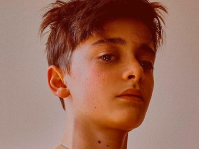 Noah Schnapp faz Will