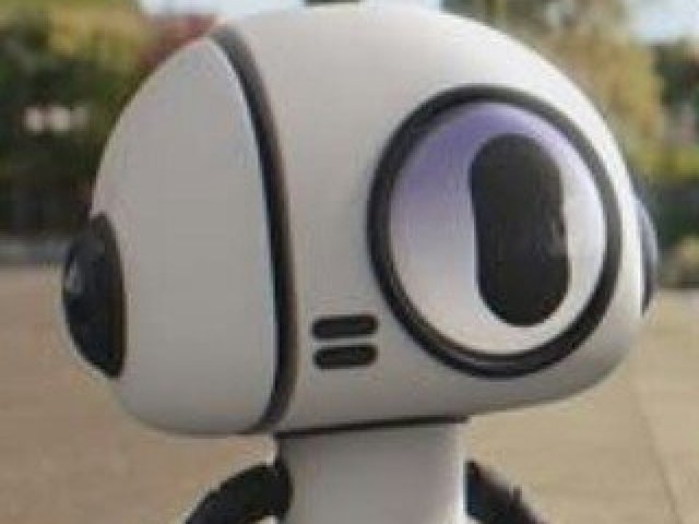Bobert