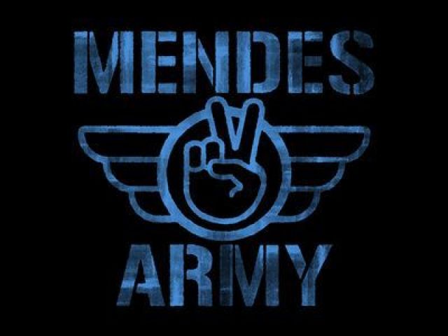 (Shawn Mendes)