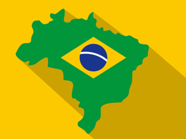 Você conhece os mamíferos brasileiros?