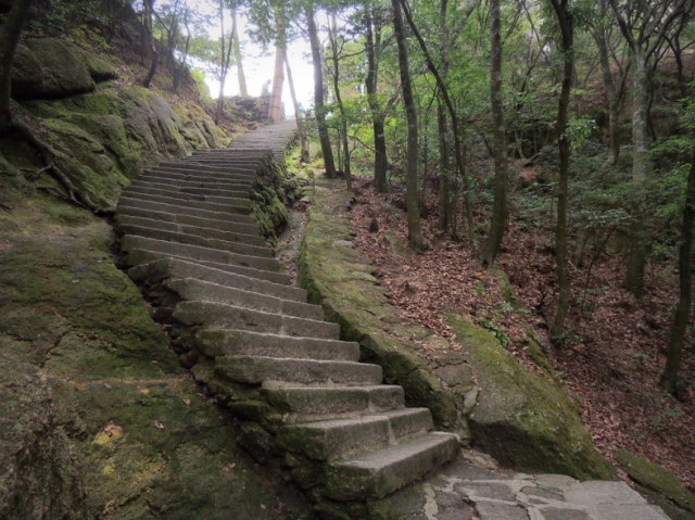 Subir escadaria