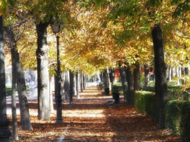 Praça