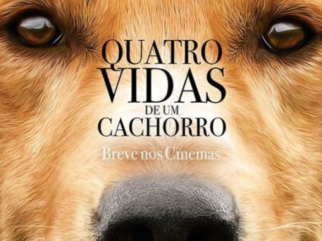 Quatro vidas de um cachorro(nem chorei)