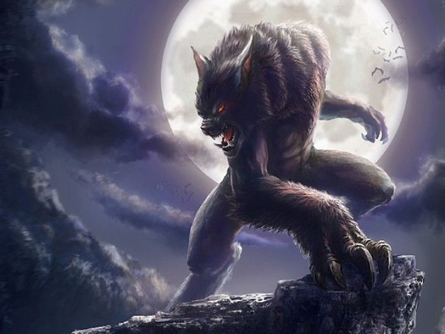 O Lobo