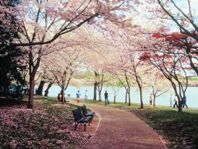 Um passeio no parque