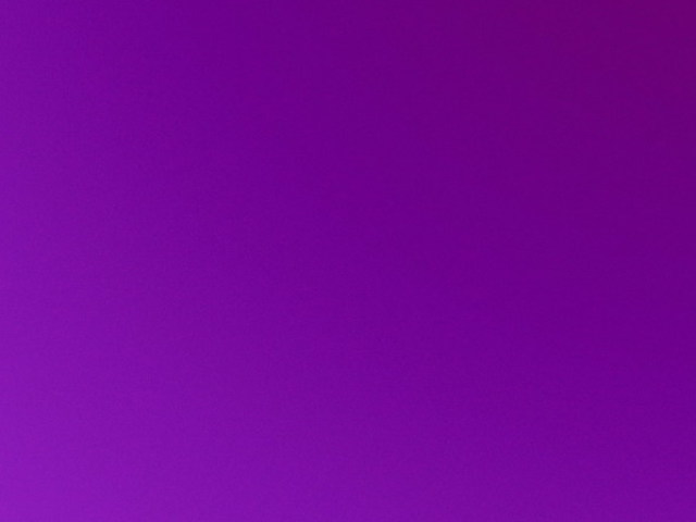 bonito
