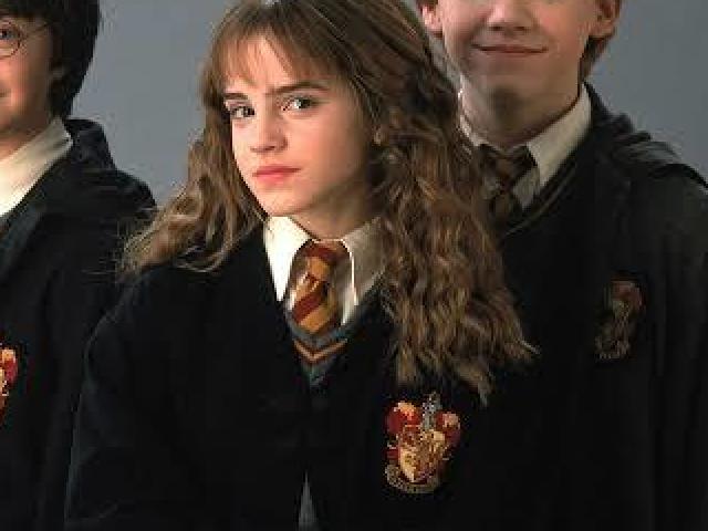 Você é a Hermione