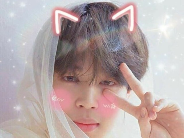 Você conhece o nosso Mochi?
