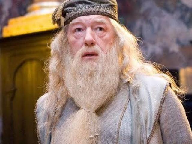 Professor Dumbledore