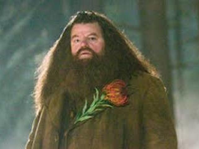 Professor Hagrid