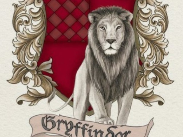 GRIFINÓRIA🦁🏹