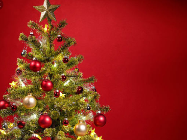 Qual é sua comida favorita no Natal?
