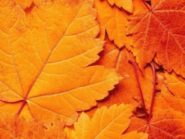 Laranja