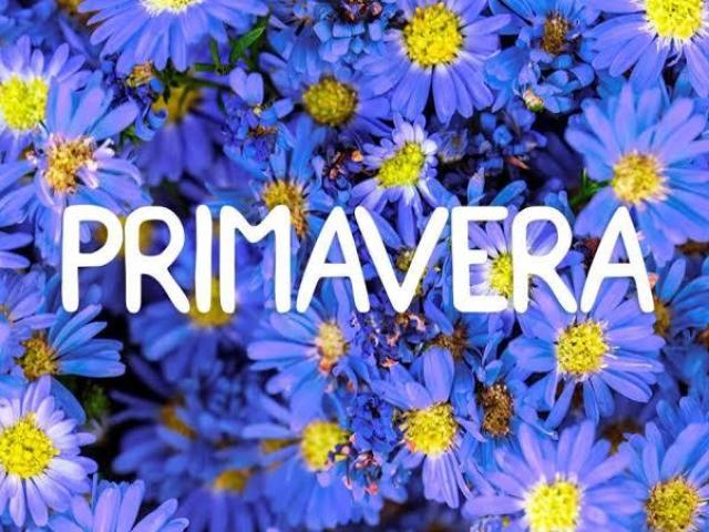 Primavera