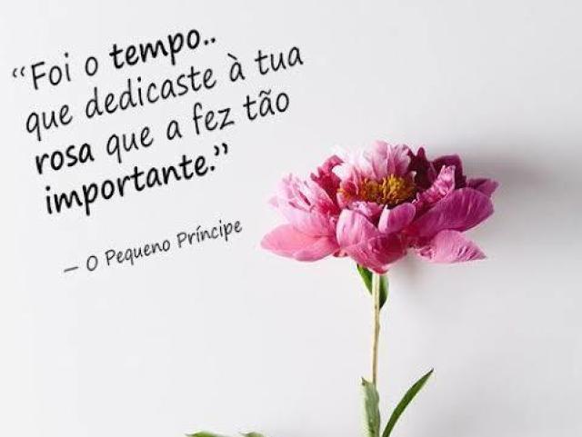 Tempo é irrecuperável!