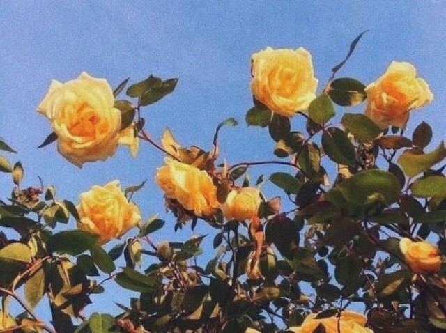 Qual estilo aesthetic combina com você?