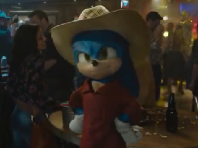 Sonic the hedgehog