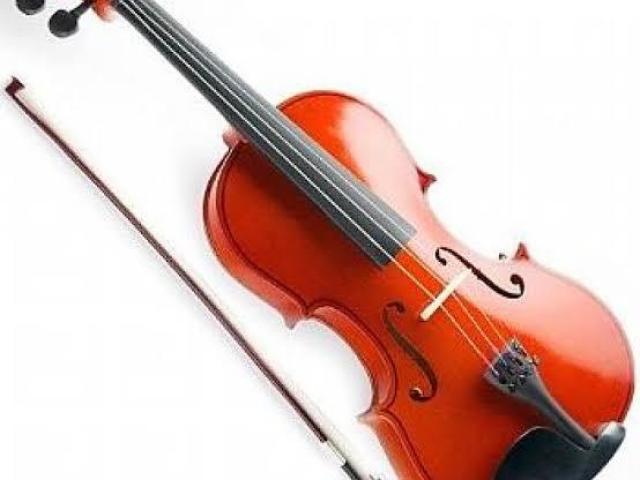 Violino