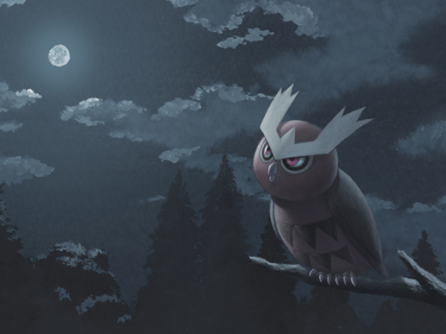 Noctowl